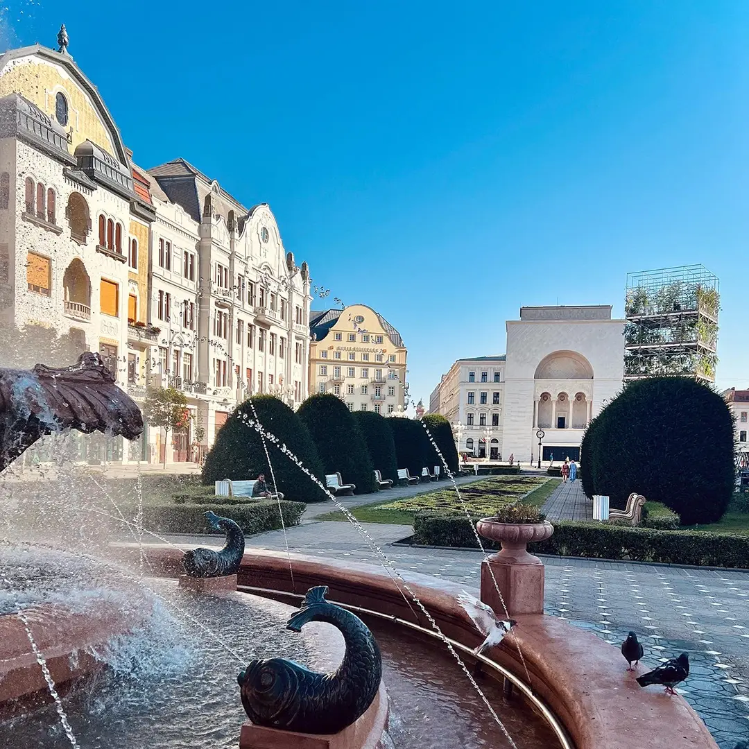 Victoriei Visit Timisoara