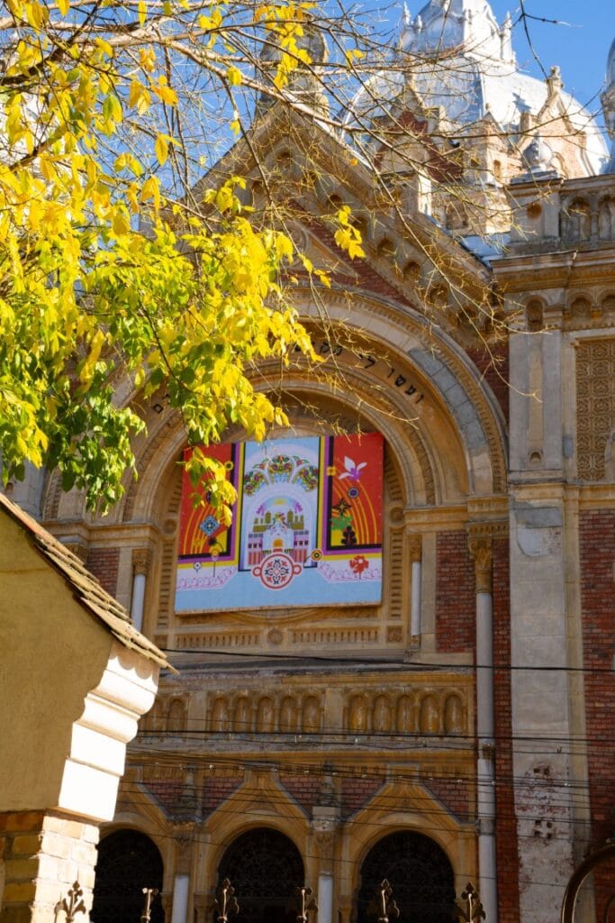 SHIFT Sinagoga Noua din Fabric (31)